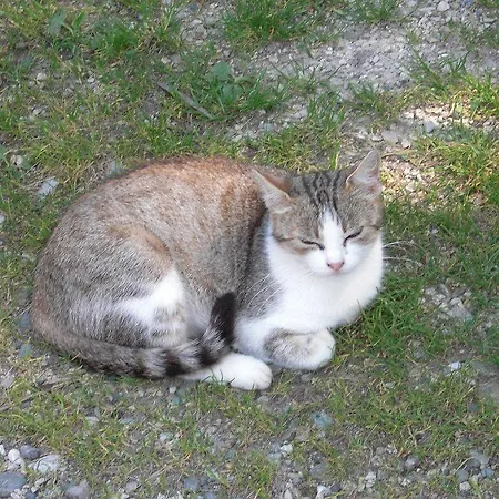 Waschnig * Sankt Kanzian am Klopeiner See