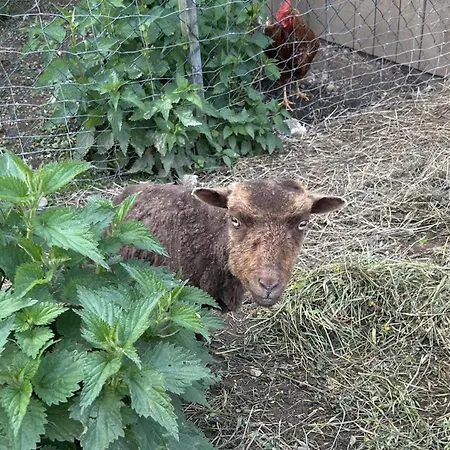 Waschnig Alloggio per agriturismo