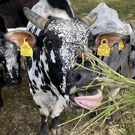 Alloggio per agriturismo Waschnig *