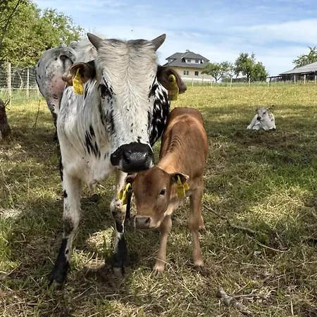 Waschnig Alloggio per agriturismo Sankt Kanzian am Klopeiner See