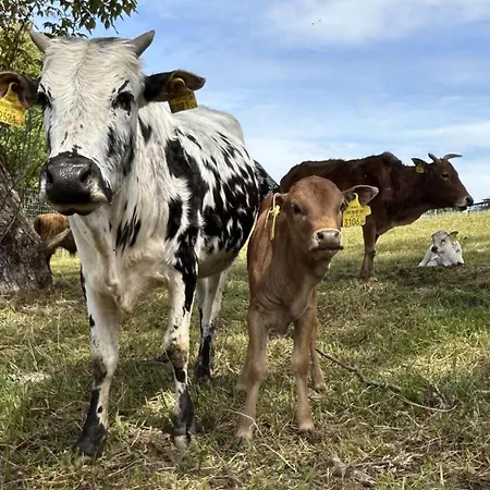 Waschnig Sankt Kanzian am Klopeiner See