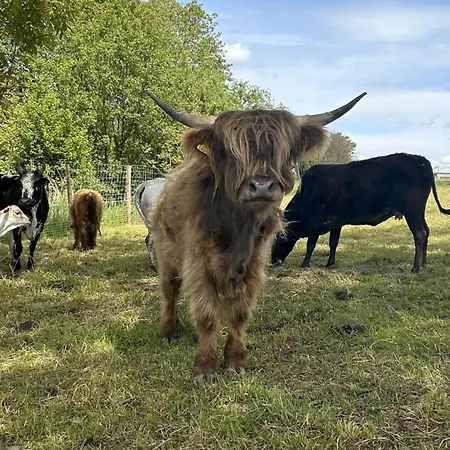 Farm stay Erlebnisbauernhof Waschnig