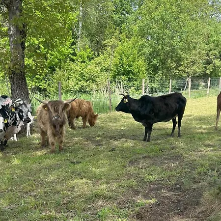 Erlebnisbauernhof Waschnig Farm stay Sankt Kanzian am Klopeiner See