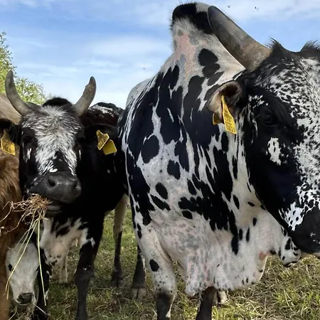Waschnig * Sankt Kanzian am Klopeiner See