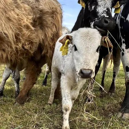 Waschnig Alloggio per agriturismo