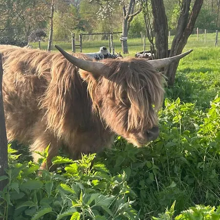 Farm stay Erlebnisbauernhof Waschnig