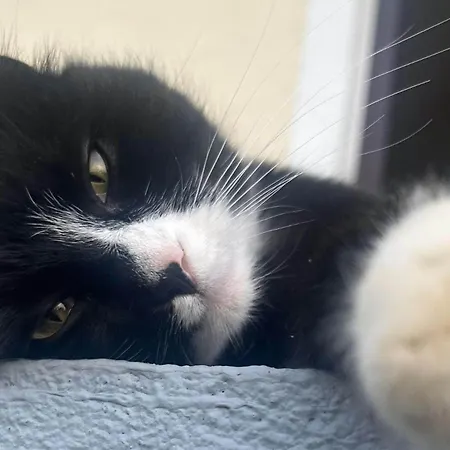 Alloggio per agriturismo Waschnig *