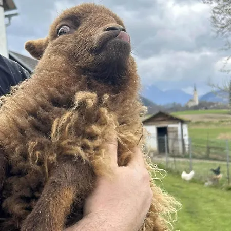 Waschnig * Sankt Kanzian am Klopeiner See