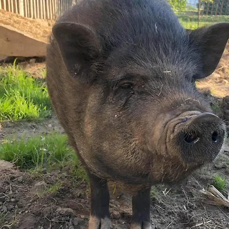 Waschnig * St. Kanzian am Klopeiner See