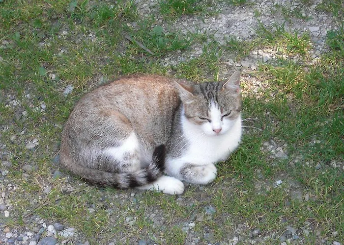 Waschnig * ザンクト・カンツィアン