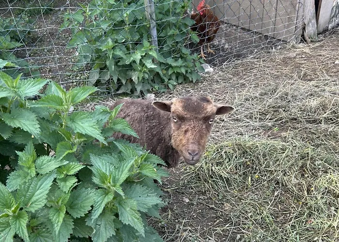 Waschnig Фермерский дом