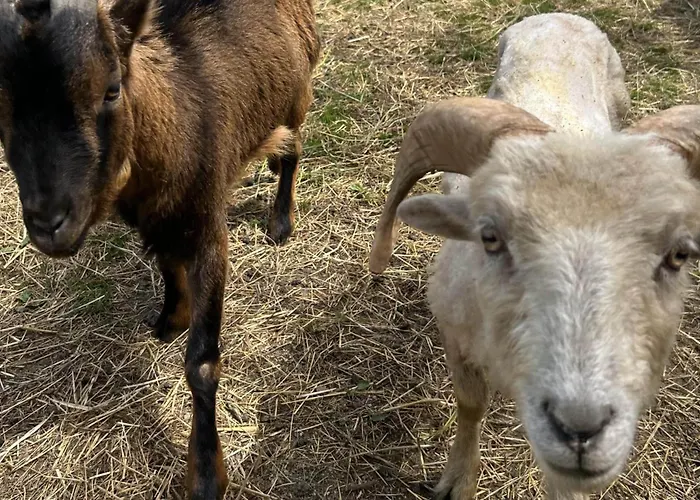 Waschnig Фермерский дом *