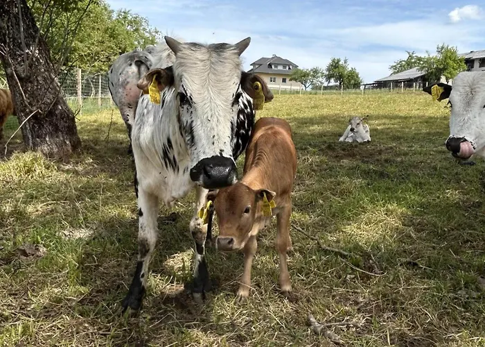 Waschnig Фермерский дом Санкт-Канциан