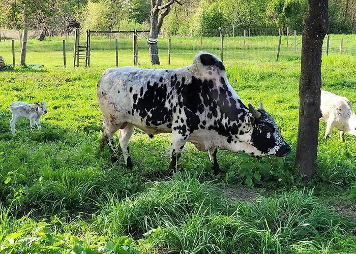 Farma Waschnig Sankt Kanzian am Klopeiner See