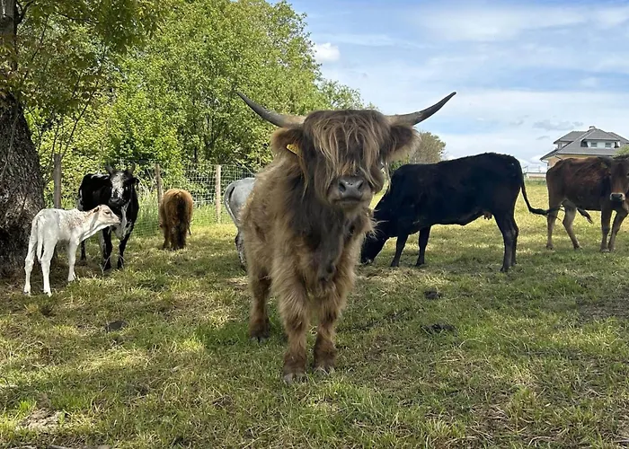 ファームステイ Waschnig