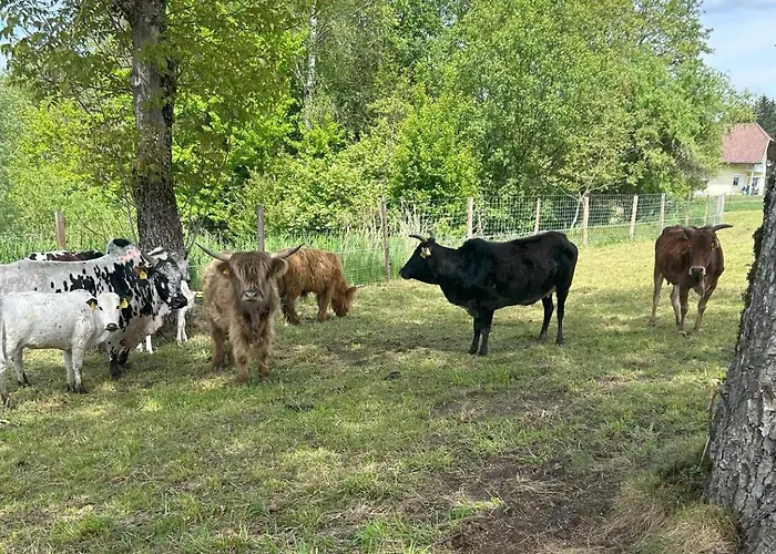 Waschnig Farma Sankt Kanzian am Klopeiner See