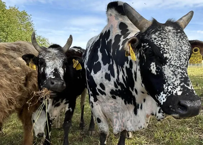 Waschnig * Sankt Kanzian am Klopeiner See