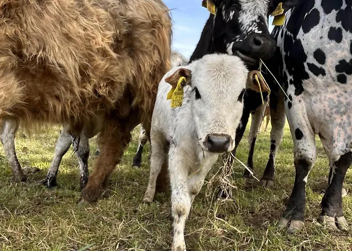 Waschnig ファームステイ