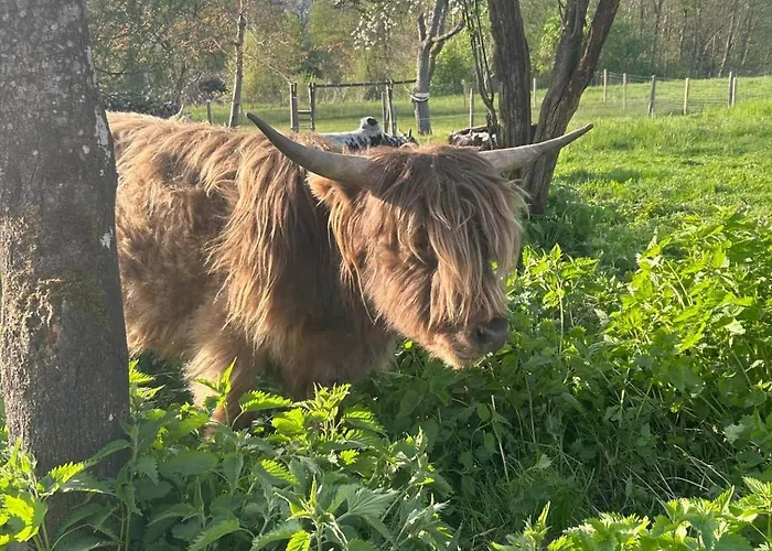 ファームステイ Waschnig