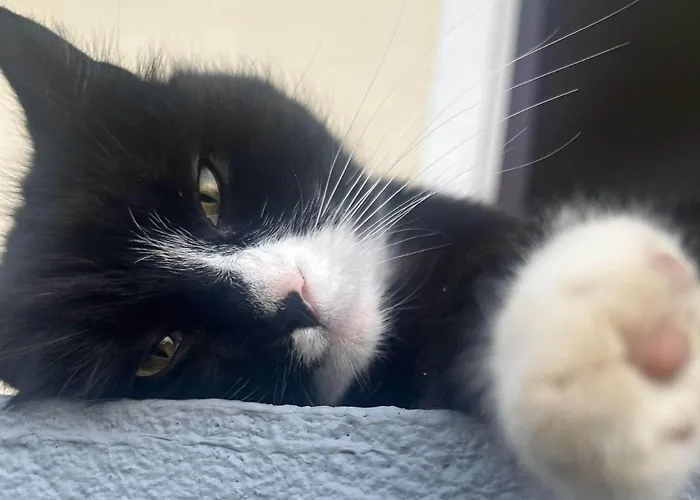 ファームステイ Waschnig *