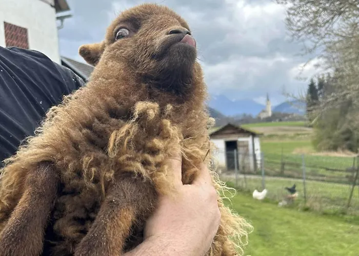 Waschnig * Санкт-Канциан