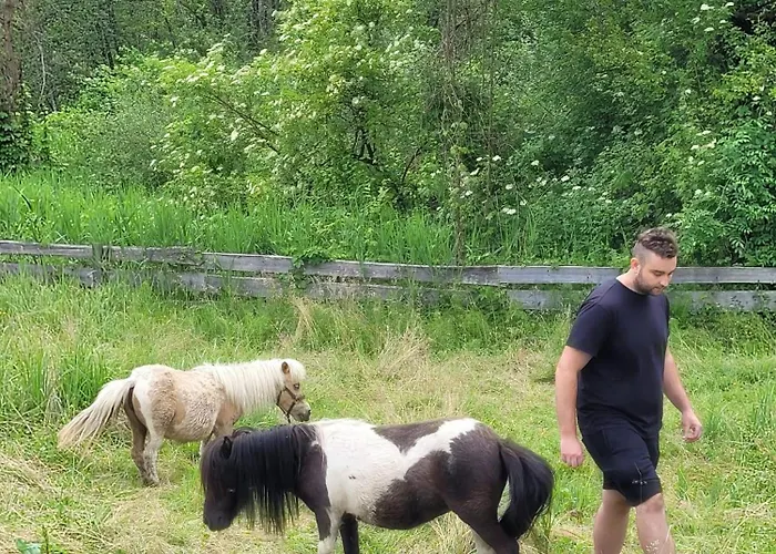 Фермерский дом Waschnig *